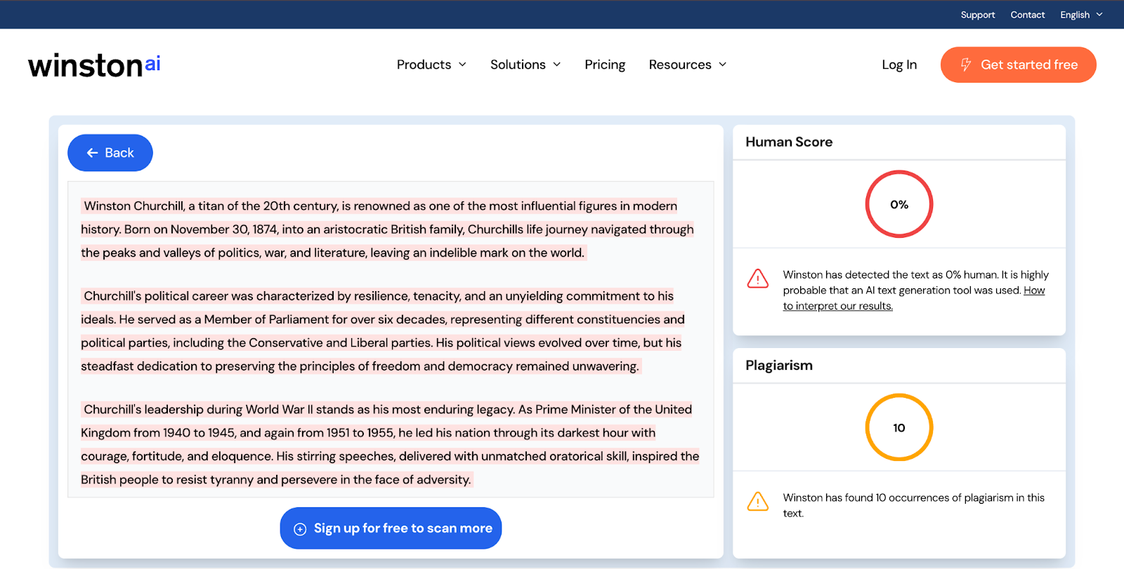 ai content detection tool