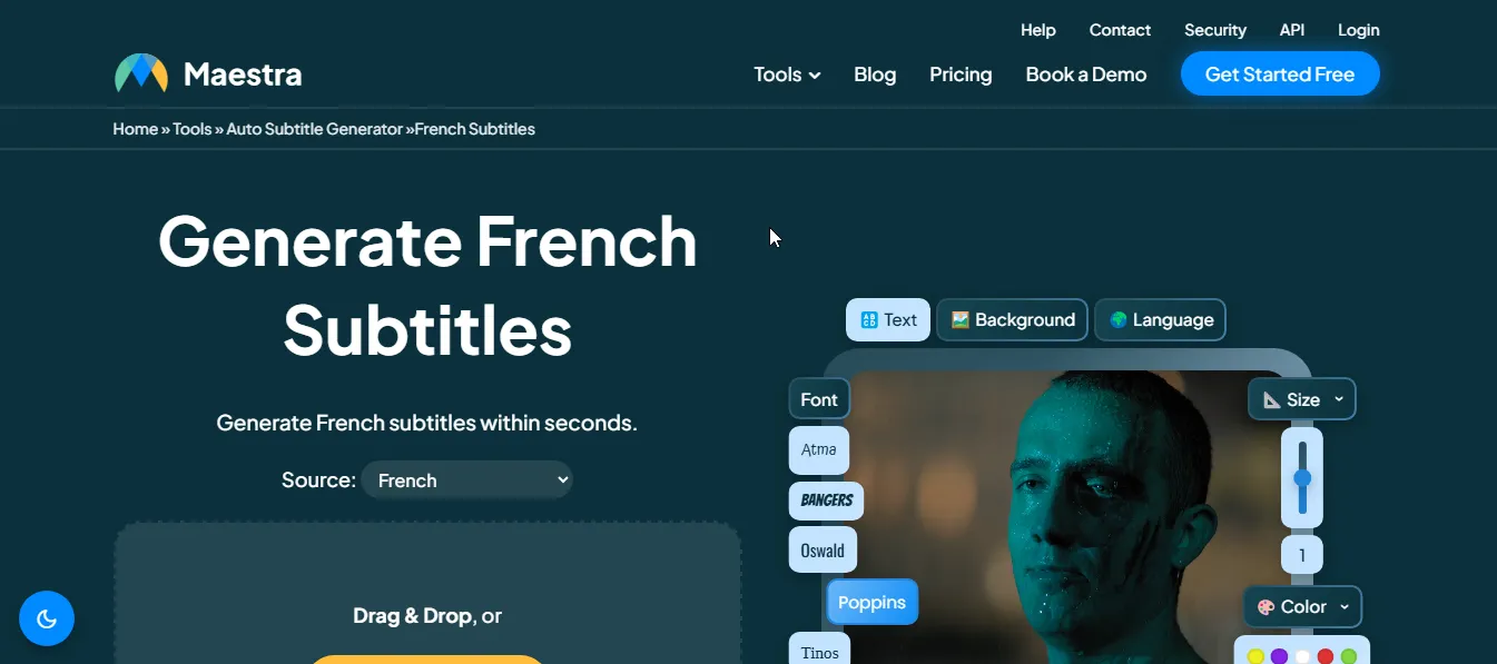 maestra french subtitle generator