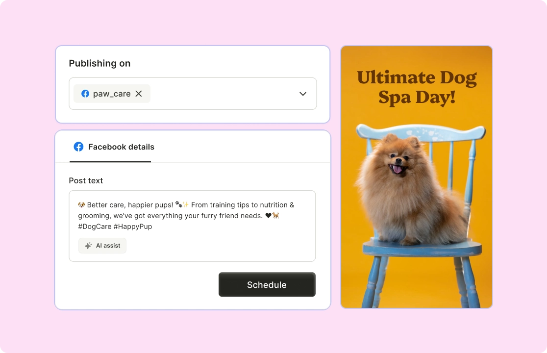 Schedule Facebook Posts in Seconds